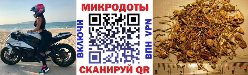 Галлюциногенные грибы Psilocybe  Купить  Старый Крым 